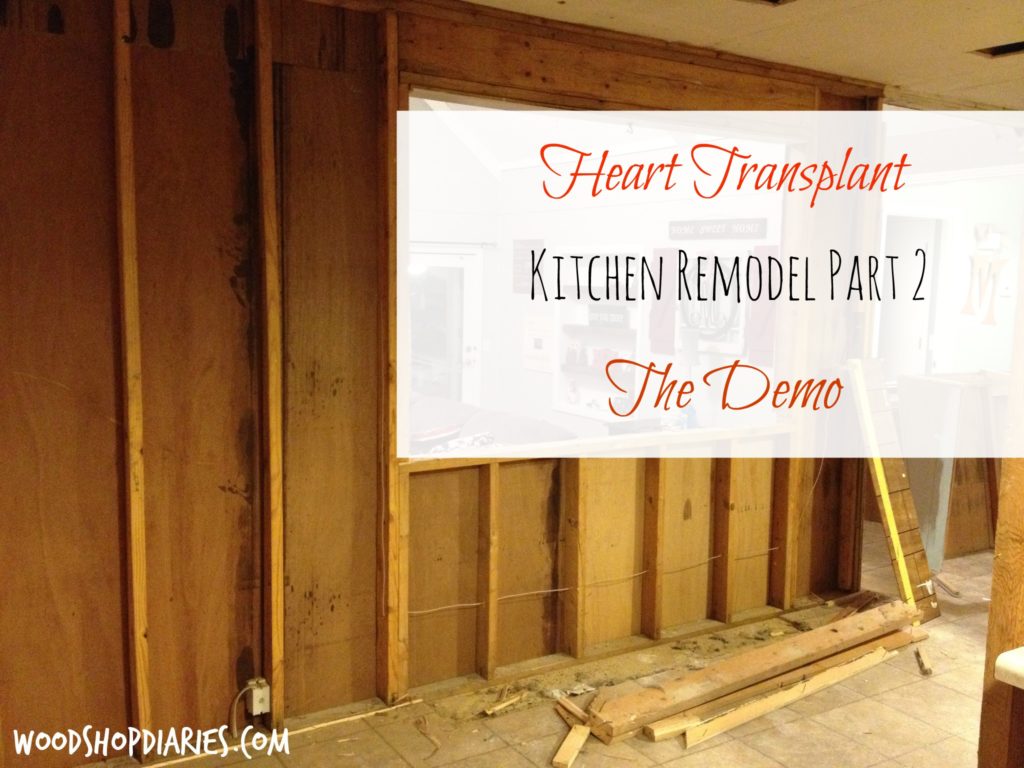 Ripping Out the Heart of the Home--Kitchen Demo