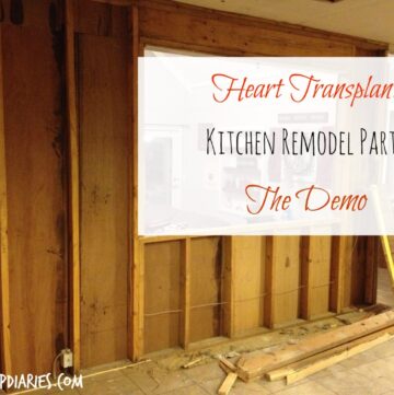 Ripping Out the Heart of the Home--Kitchen Demo