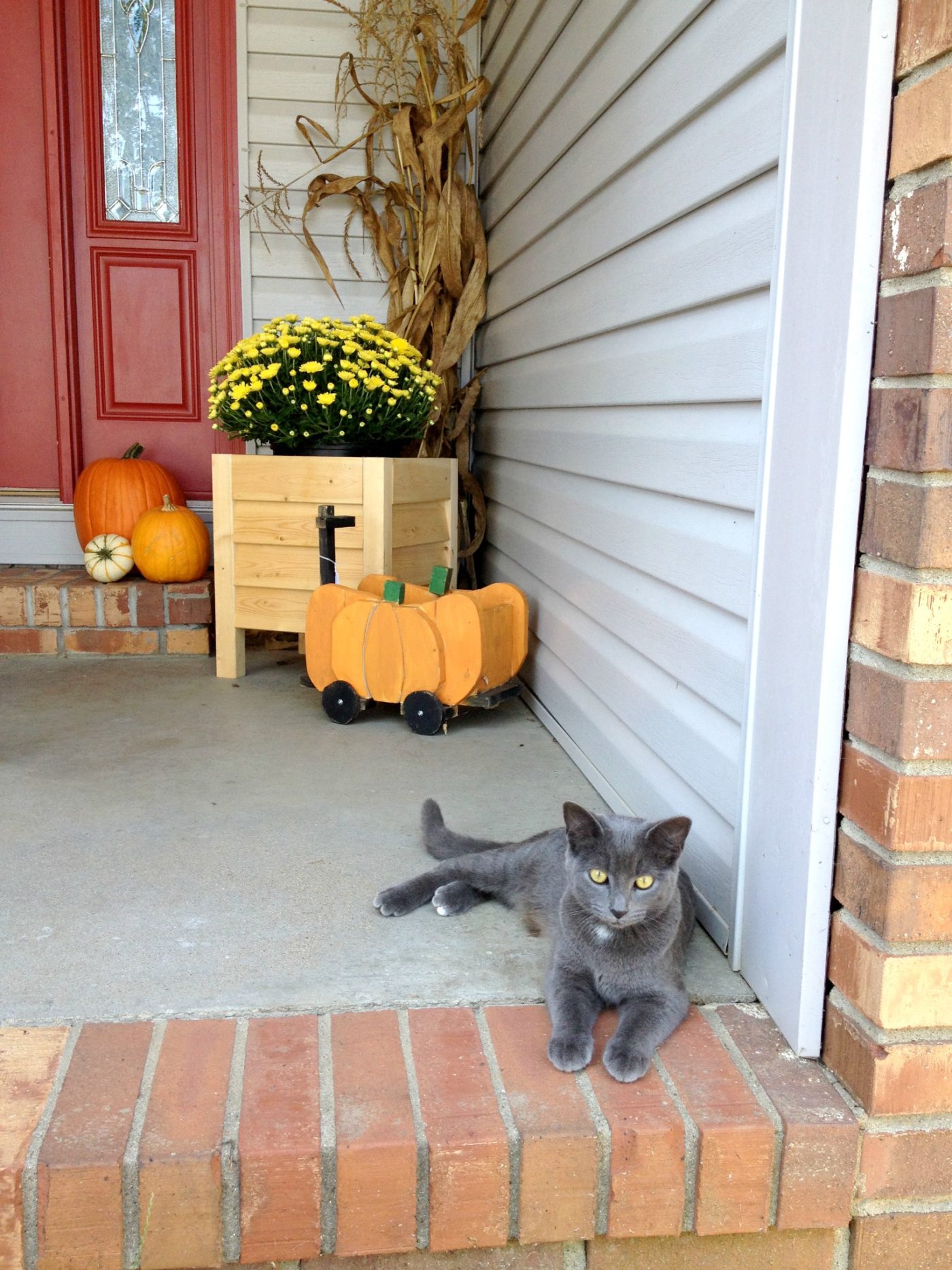 Build an Adorable Pumpkin Wagon for Fall from scrap wood