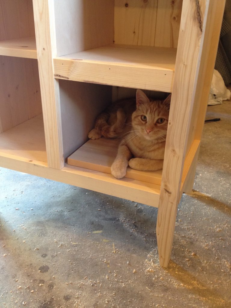 Orange Baby in cabinet