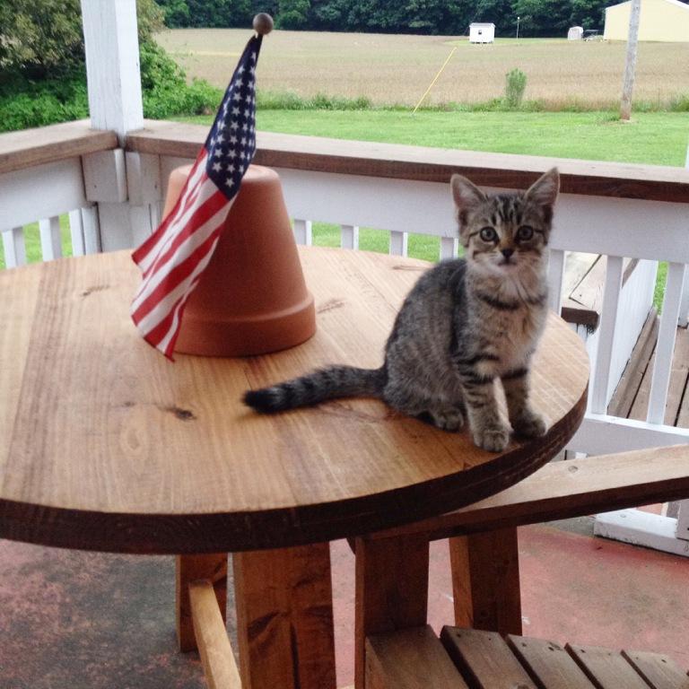 outdoor table