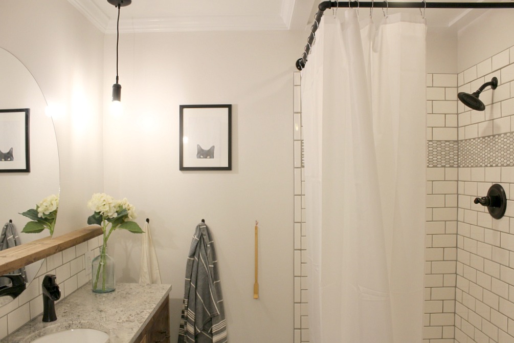 Gorgeous Master Bathroom Remodel Reveal