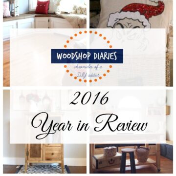 2016 Year in Review--My first REAL year of blogging