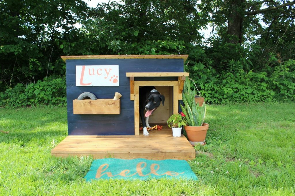 How to Build a Modern DIY Dog House