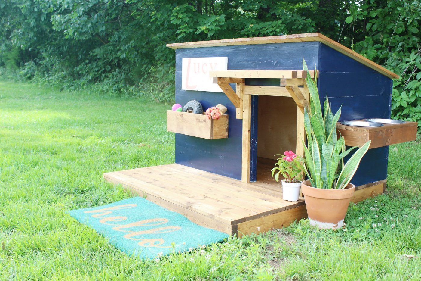 Building a dog house from best sale scratch