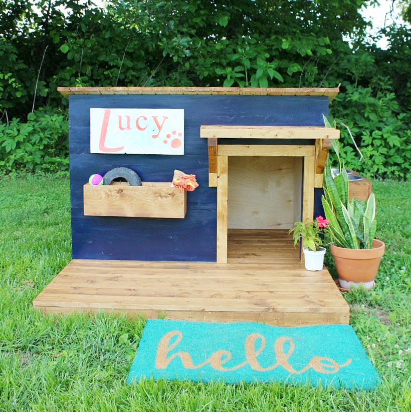 How to Build a Modern DIY Dog House