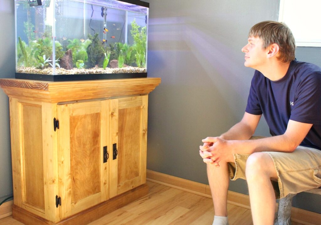 Danny watching fish in aquarium tank sitting on aquarium cabinet stand