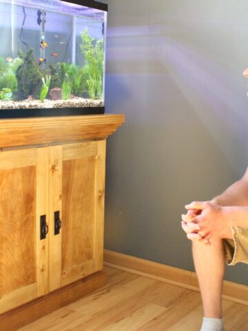 How to Build a DIY Aquarium Cabinet Stand
