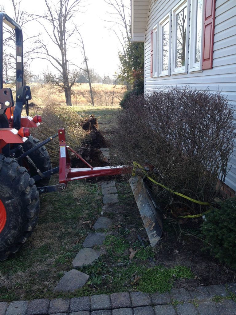 Removing old bushes to improve curb appeal and update landscaping