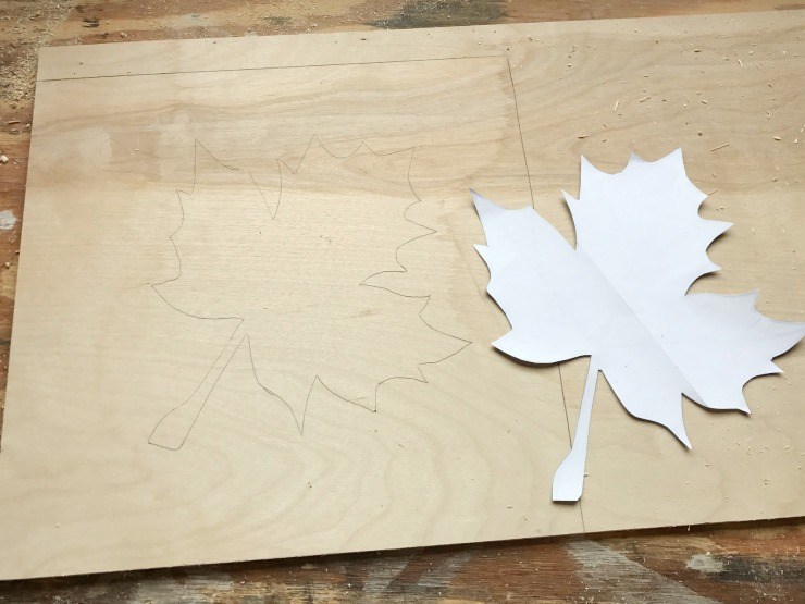 Tracing leaf onto plywood
