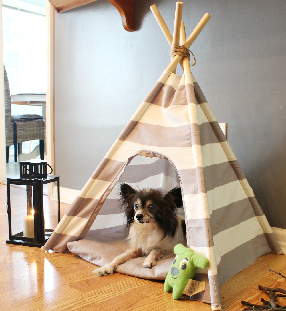 How to make a DIY dog tent from a little fabric and some dowel rods! Super easy sewing tutorial--great beginner project!