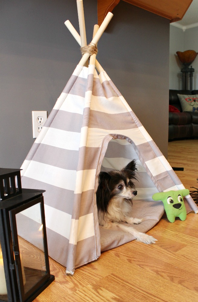 Super easy tutorial for how to sew a DIY dog tent with striped or patterned fabric! 
