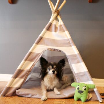 How to sew a super easy DIY dog tent with pillow and striped fabric!