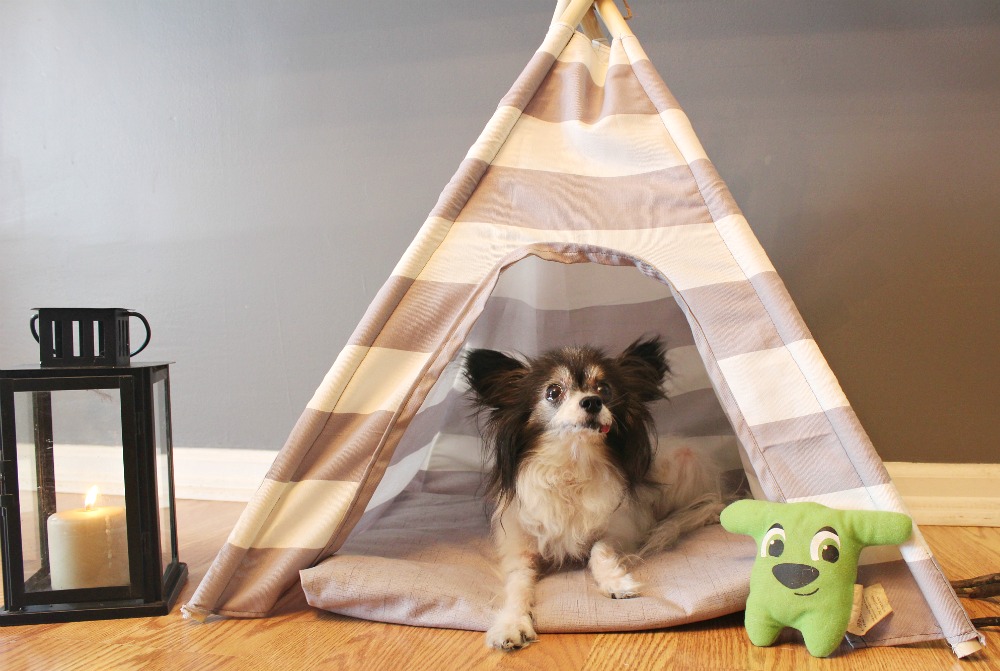 How to easily sew a DIY dog tent with striped or patterned fabric! Super easy sewing tutorial for beginners. Super cute pet bed idea!