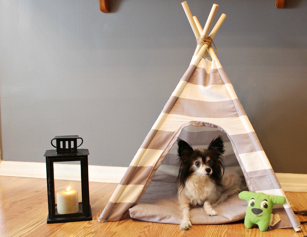 How to easily sew a DIY dog tent with striped or patterned fabric! Super easy sewing tutorial for beginners. Super cute pet bed idea!