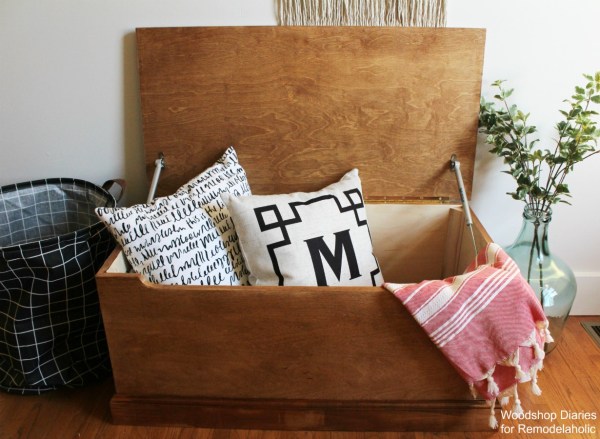 Simple Plywood storage trunk with lid open and soft close hinges