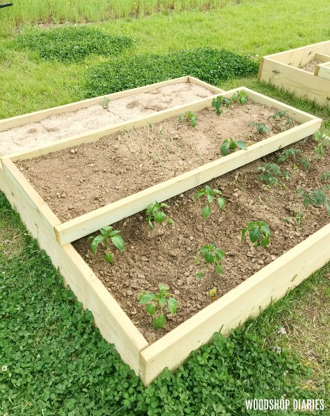 How to Build a DIY Raised Garden Bed