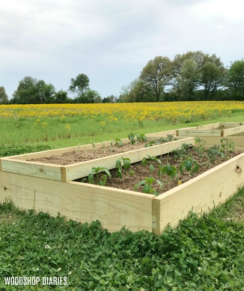 How to Build Your Own Raised Garden Beds