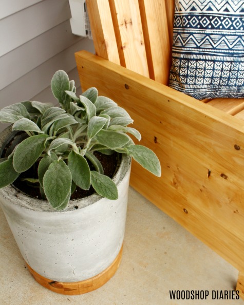 DIY Concrete planter pot with wooden base