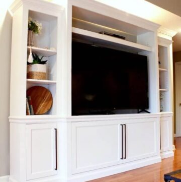 side view of DIY entertainment center