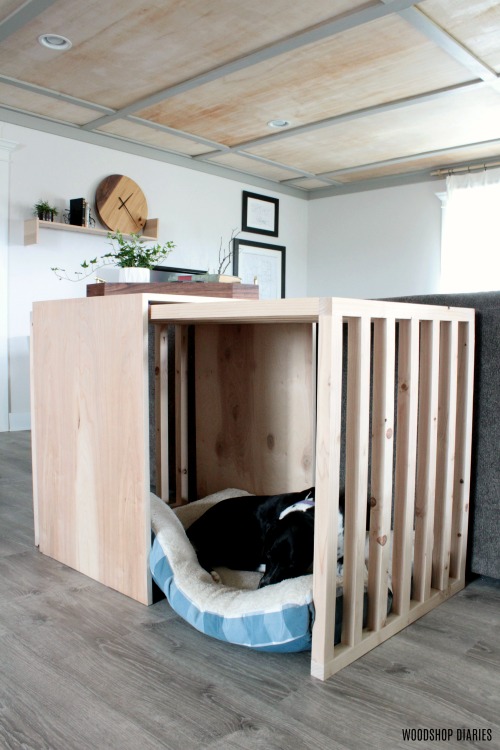 Lucy asleep in slatted sides and top dog crate furniture piece with sliding door--mid century modern style dog crate