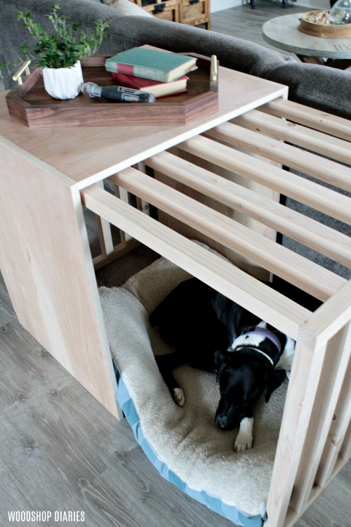 Lucy asleep in her modern slatted sliding door dog crate with door open