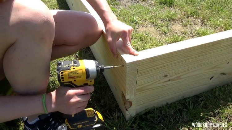 Close up of driving screws into garden bed box