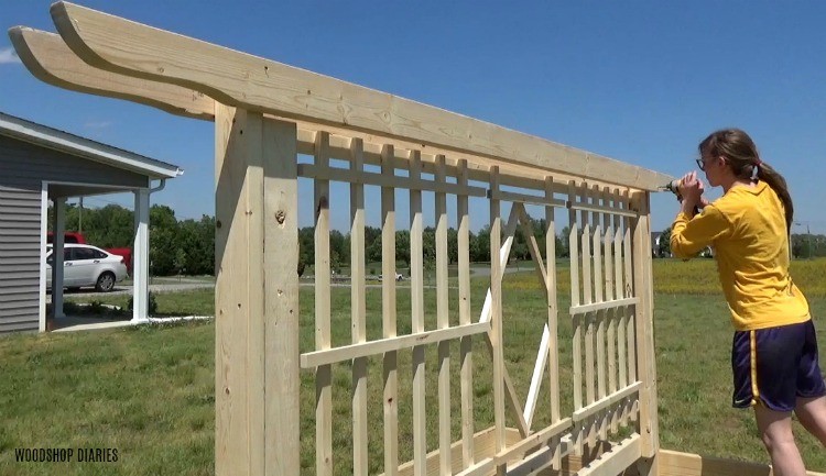 Screw pergola shaped 2x4 boards into the top of the garden bed trellis frame with 2 ½" wood screws