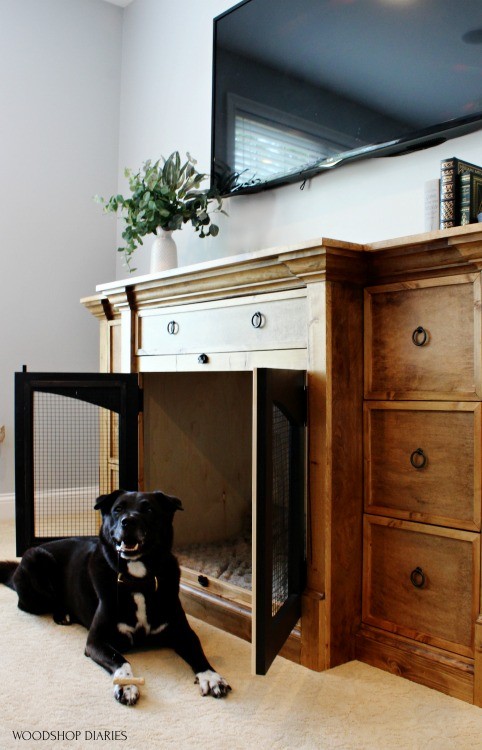 Dasher smiling in front of his new dog crate console cabinet with drawers