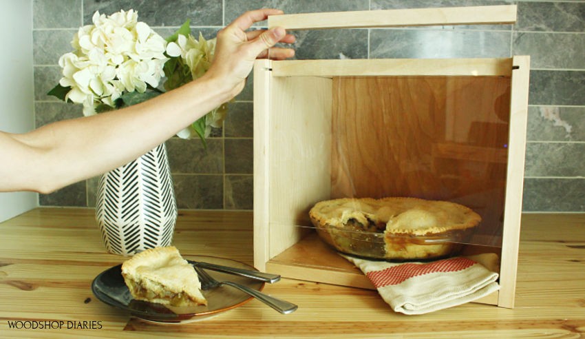 Plexiglass and plywood pie carrier