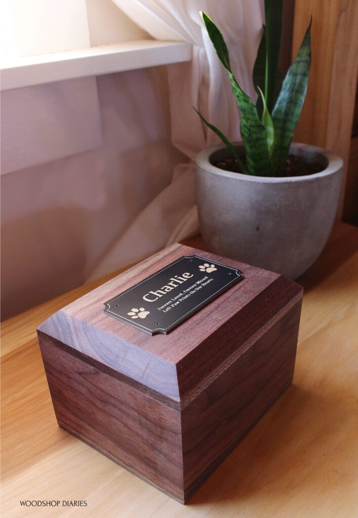 Walnut DIY pet urn keepsake box sitting on nightstand next to house plant