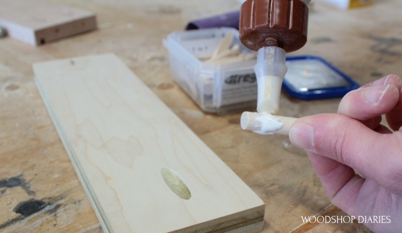 Applying wood glue to pocket hole plug