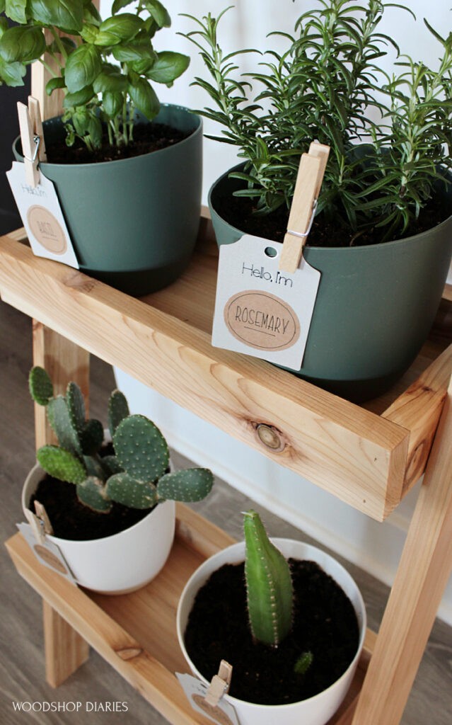 Close up of plant tag labels clipped onto each planter pot on the shelf--gray tag with brown name stickers