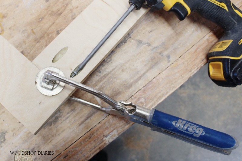 Close up driving pocket hole screw into plywood frame with face frame clamp