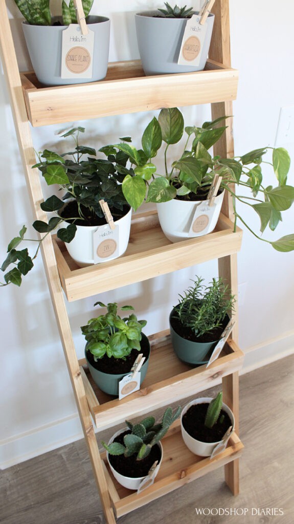 Diy Plant Ladder Shelf A Er Friendly Indoor Garden Idea - Diy Plant Stand Plans Ladder