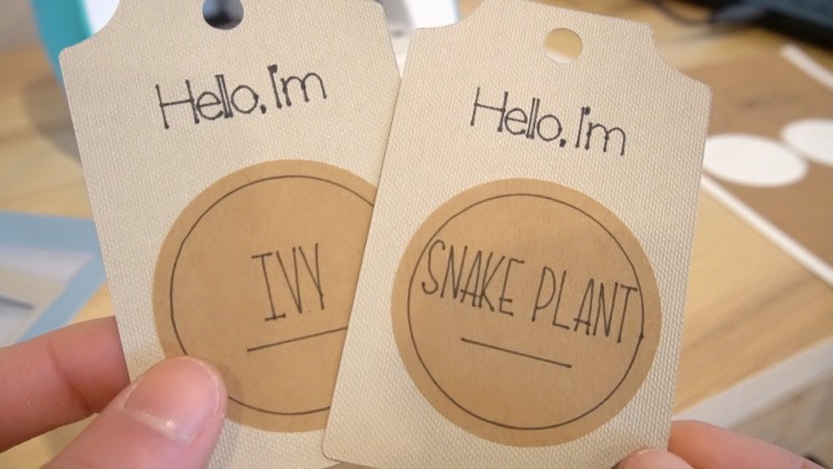 Close up of cardstock tags with name stickers applied