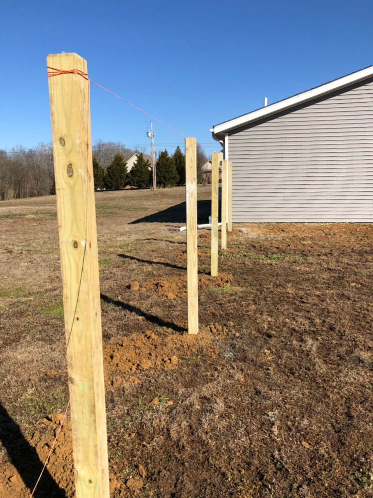 Five fence posts in the ground and level