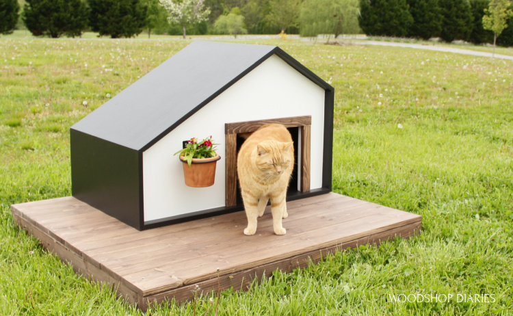 DIY Black and white modern pet house with wooden deck--orange tabby cat hanging out on top