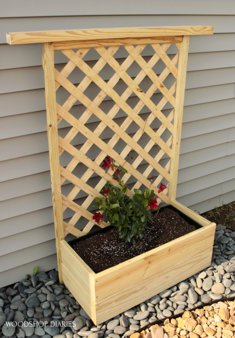 DIY treated scrap wood planter box with trellis on back with flowering plant in plastic box set inside