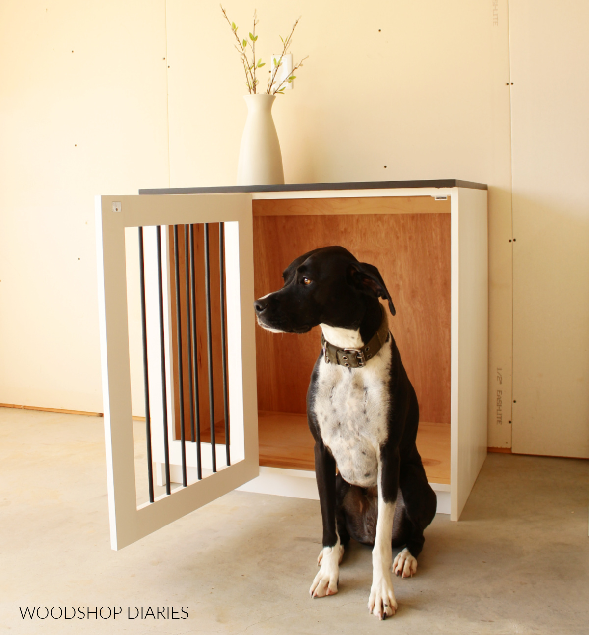 Black and white dog in front of black and white wooden dog crate with door open