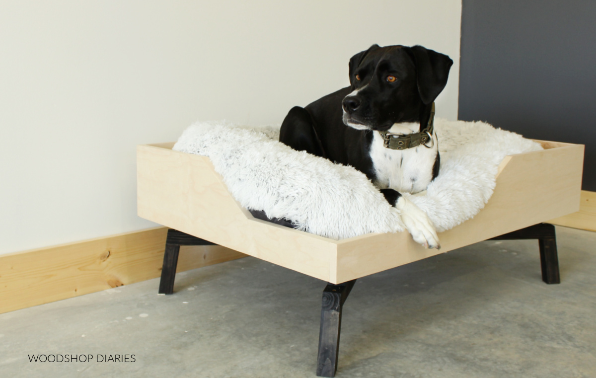 Black and white dog laying on furry bed inside plywood box