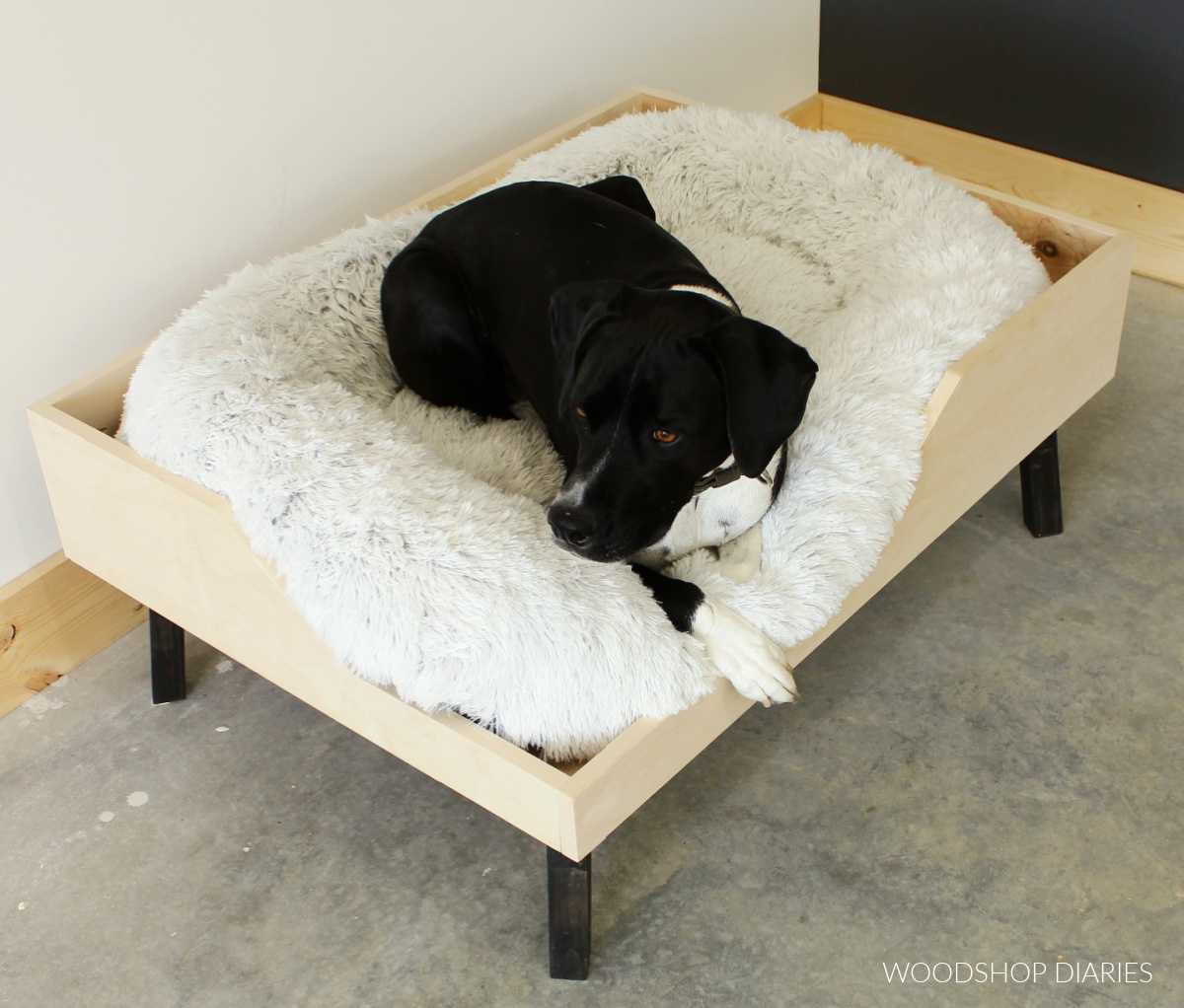 DIY Elevated Dog Bed From Plywood 2x2s