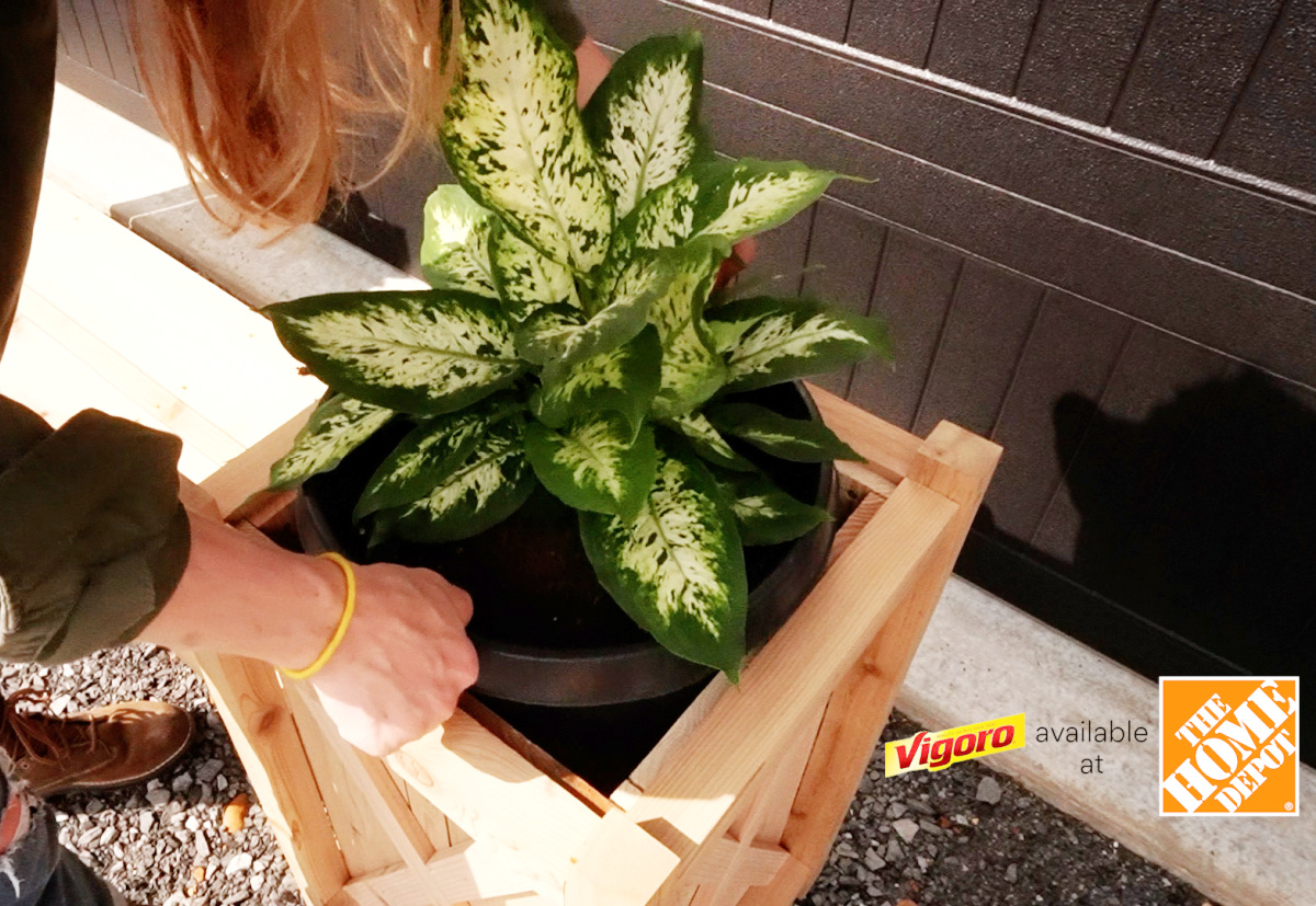 Shara Woodshop Diaries dropping plants into planter boxes in black nursery pots