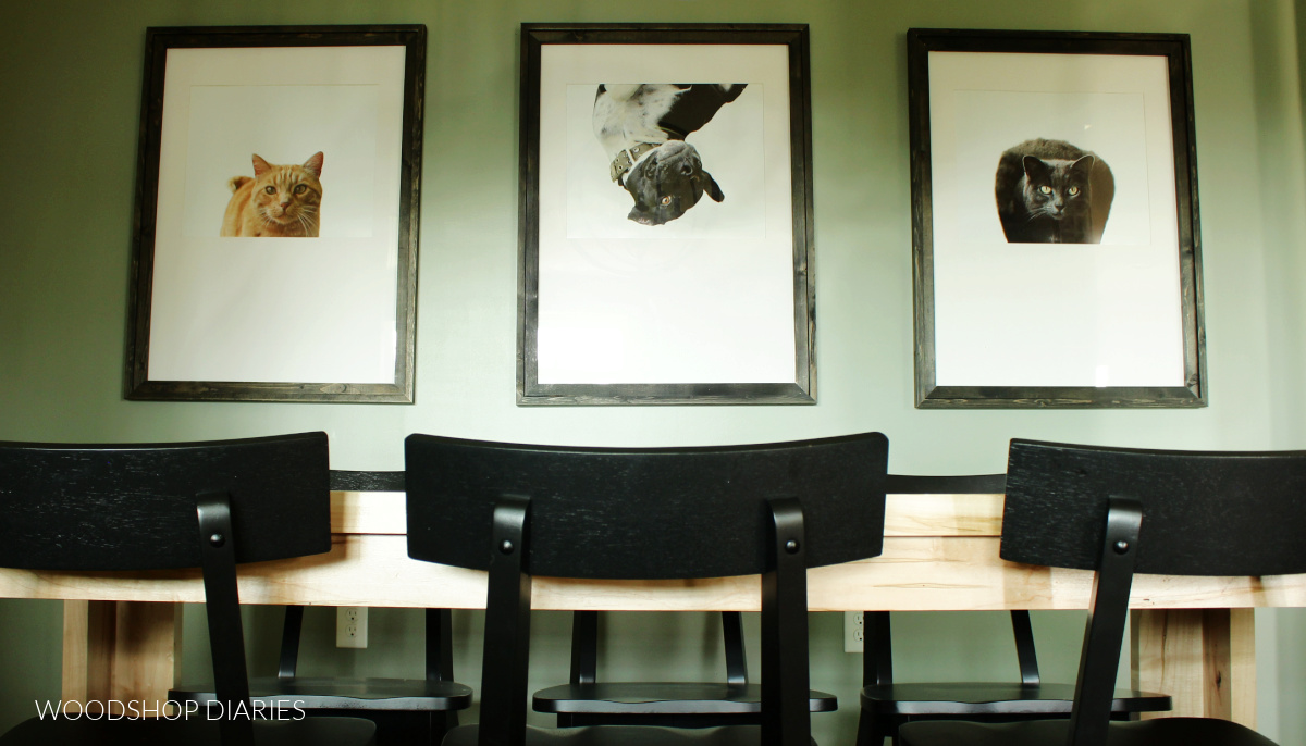 Large photos of cats and dog hanging in black DIY custom made picture frames hanging above dining table on green wall