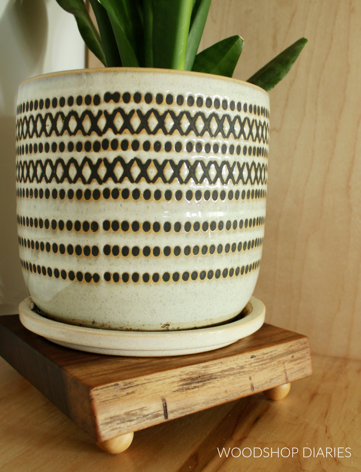 elevated wooden tray used as a plant coaster with pot on top