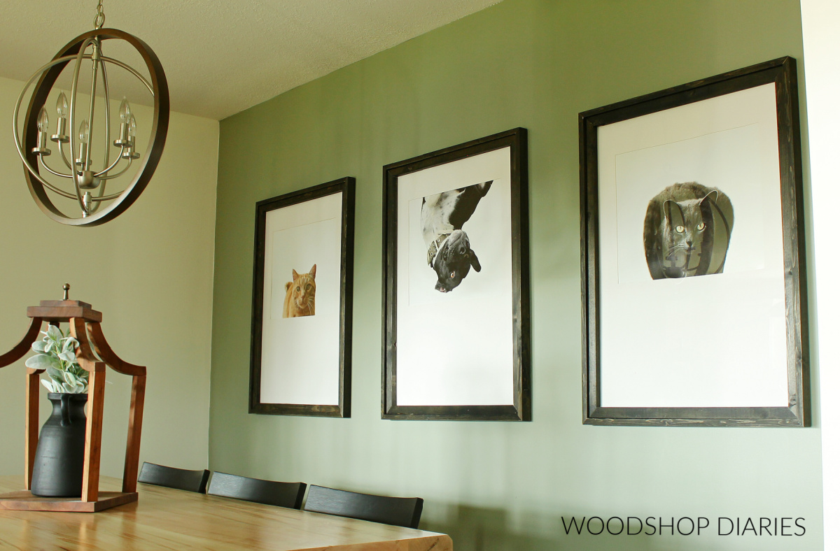 Large black wooden picture frames hanging on green wall with pictures of cats and a dog on white backgrounds