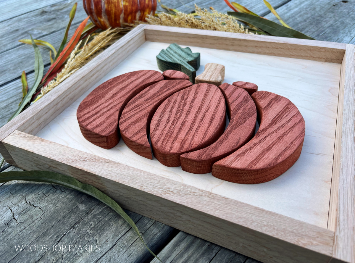 Orange wooden pumpkin shape cut out and glued onto plywood back to make DIY fall pumpkin sign on weathered wood background with fall foliage