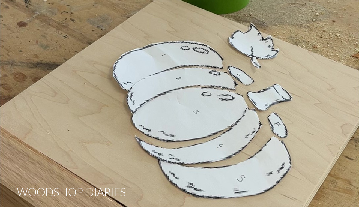 Paper cut out of pumpkin shape--individual pieces cut out and labeled, laid out on plywood
