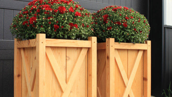 DIY Wooden Planters with X Side Trim