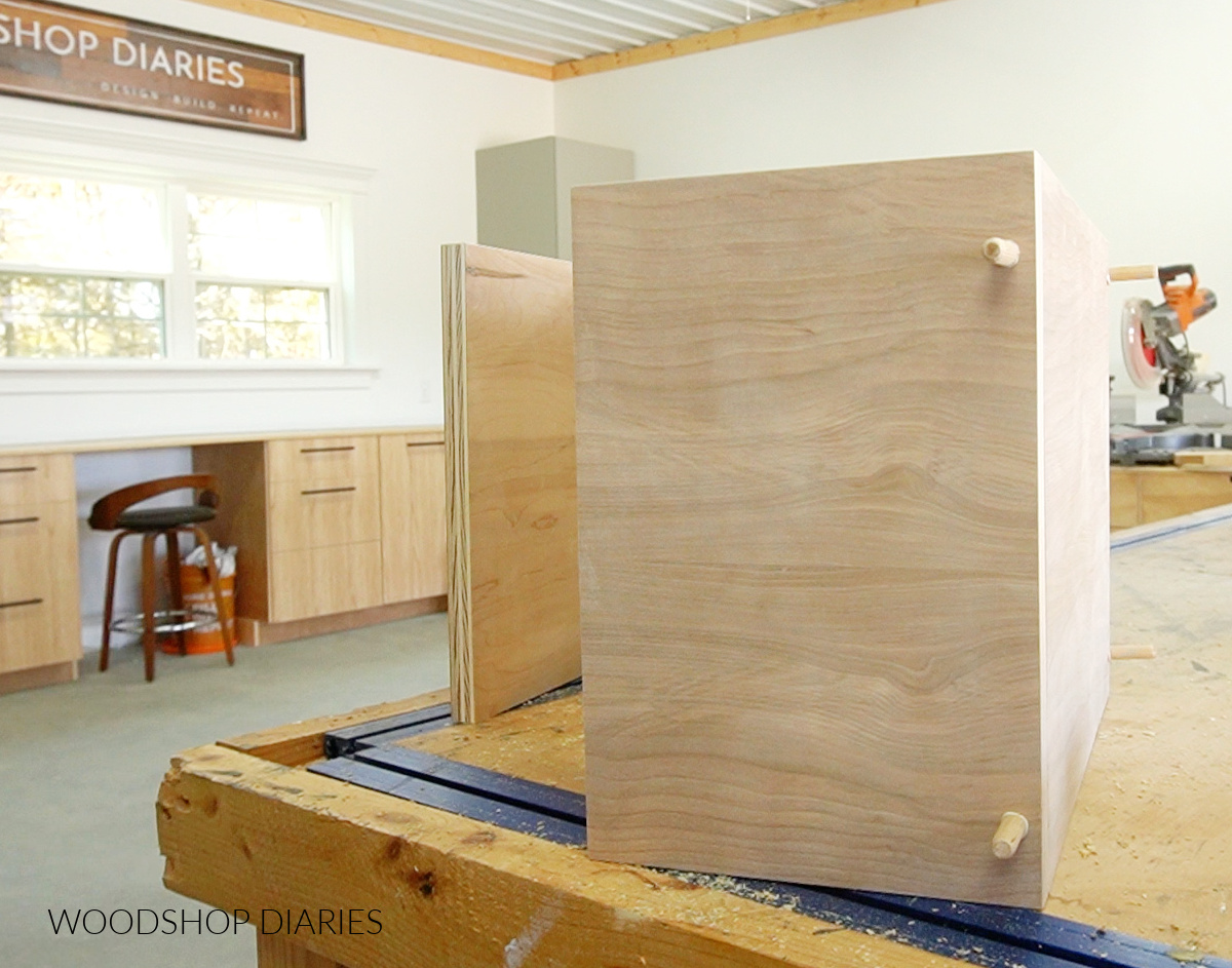 wood dowels glued into screw holes of plywood bookshelf boxes